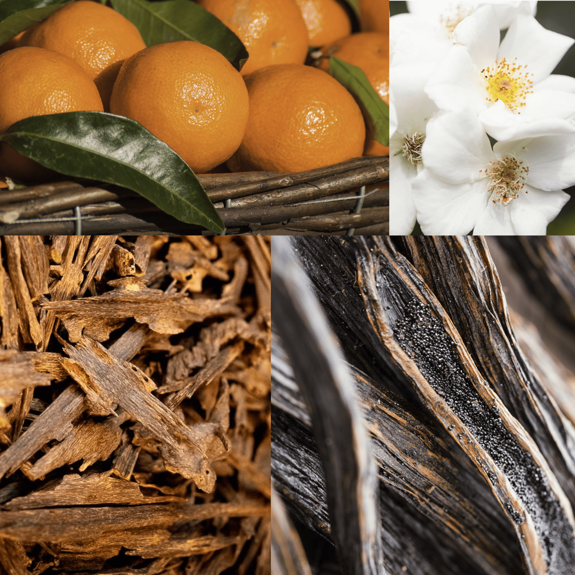 What does Mandarin & Sandalwood smell like? - Edward George London