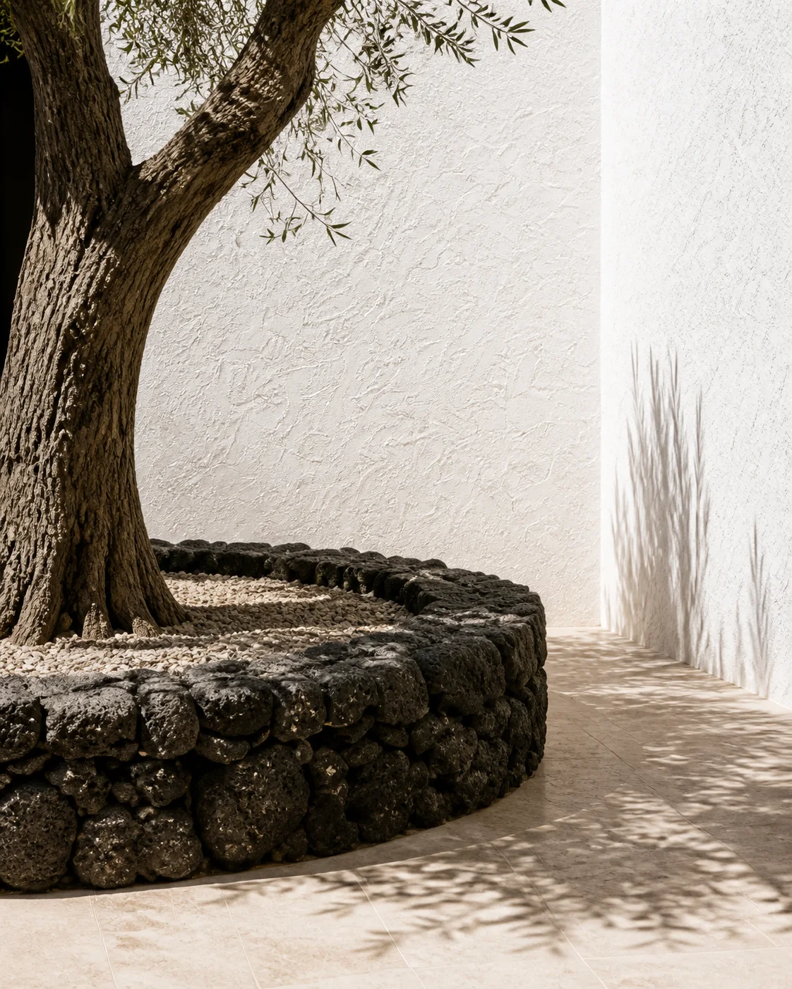Olive leaves cast sharp shadows across chalk white lime plaster and pale stone paving in the bright courtyard of the Milos house part of an editorial architecture walkthrough of a.