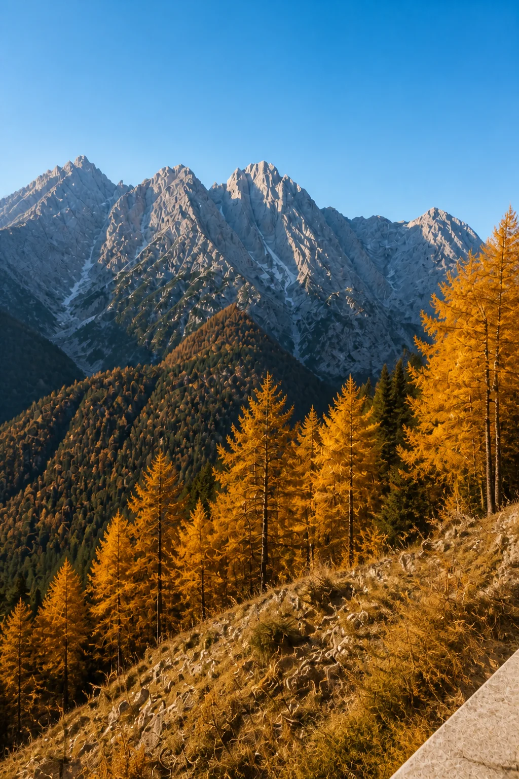 larch landscape at the Slovenian Alpine House in the Julian Alps in an original fictional editorial architecture story about material, landscape, light and the calm sequence of roo