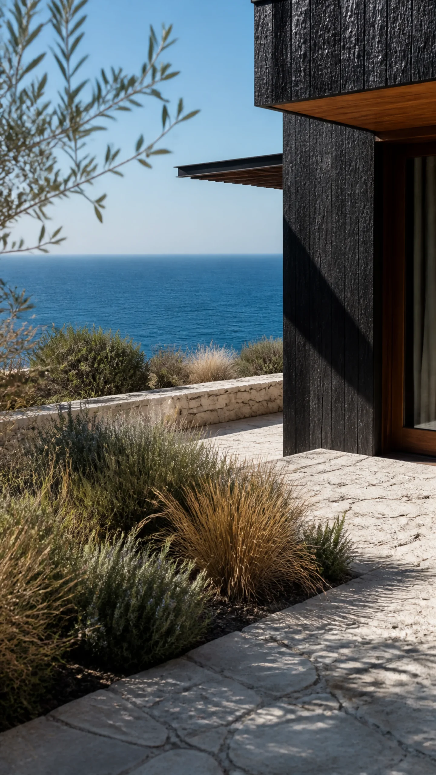 Coastal grasses rosemary and olive planting against limestone and charred cedar An original fictional editorial architecture study of material landscape light and spatial view.....