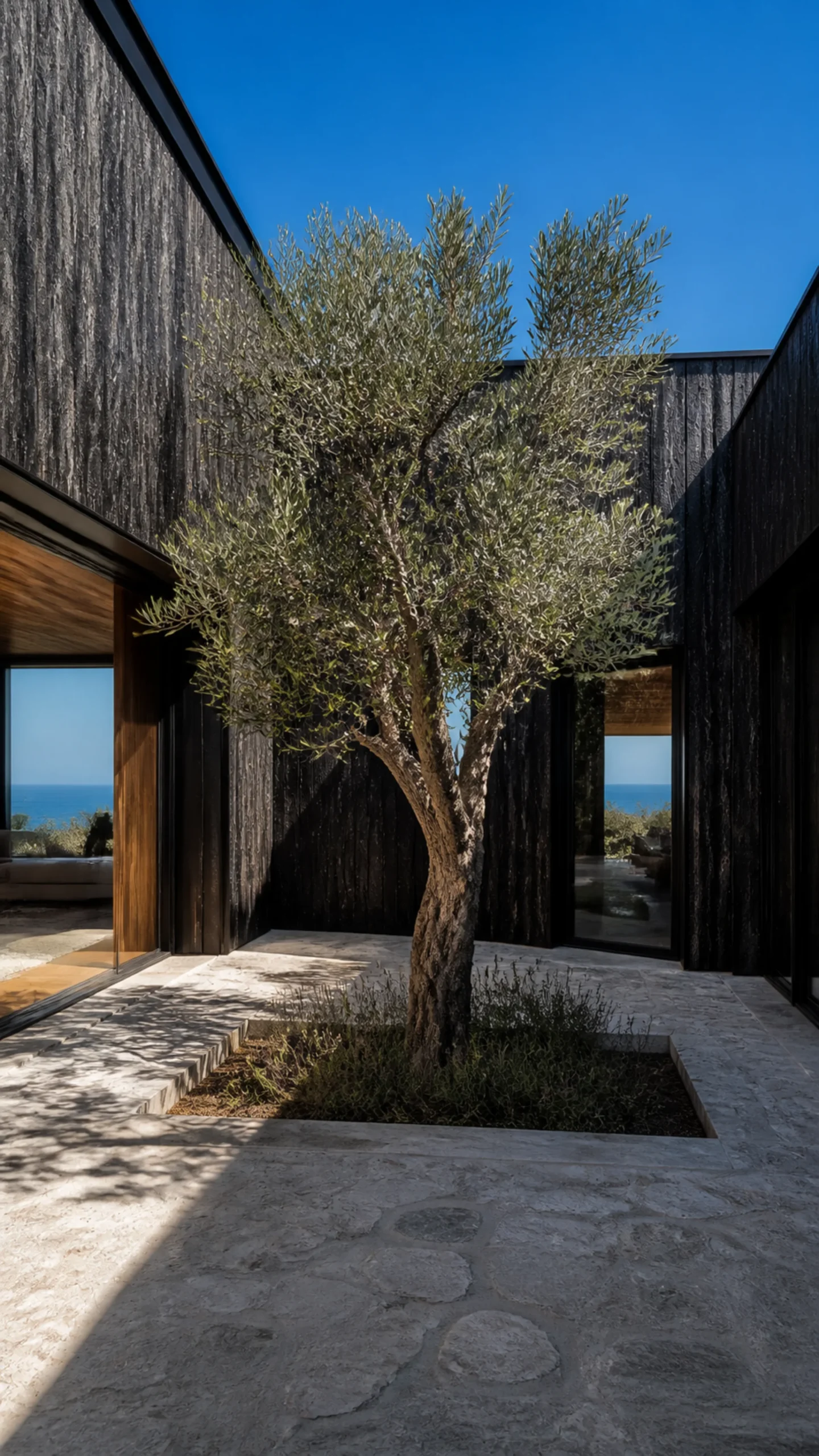 Sunken limestone courtyard with olive tree black cedar walls and clear Aegean sky An original fictional editorial architecture study of material landscape light and spatial view...